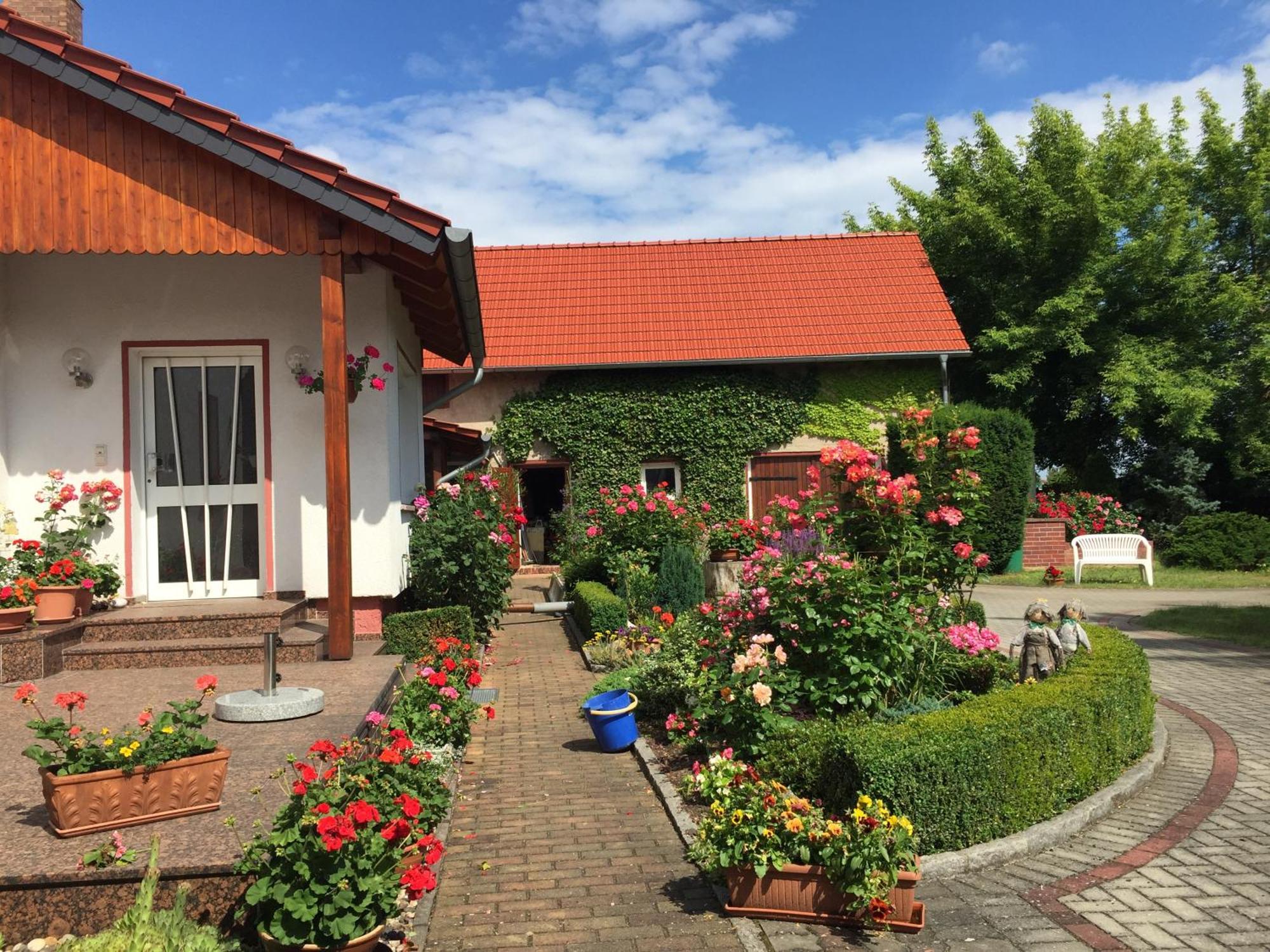 Top-Moderne Ferienwohnung Und Apartments Auf Frueherem Wunderschoenen Bauernhof Im Elbe-Elster-Kreis In Brandenburg Bei Herzberg-Elster, Schoenewalde, Holzdorf Extérieur photo