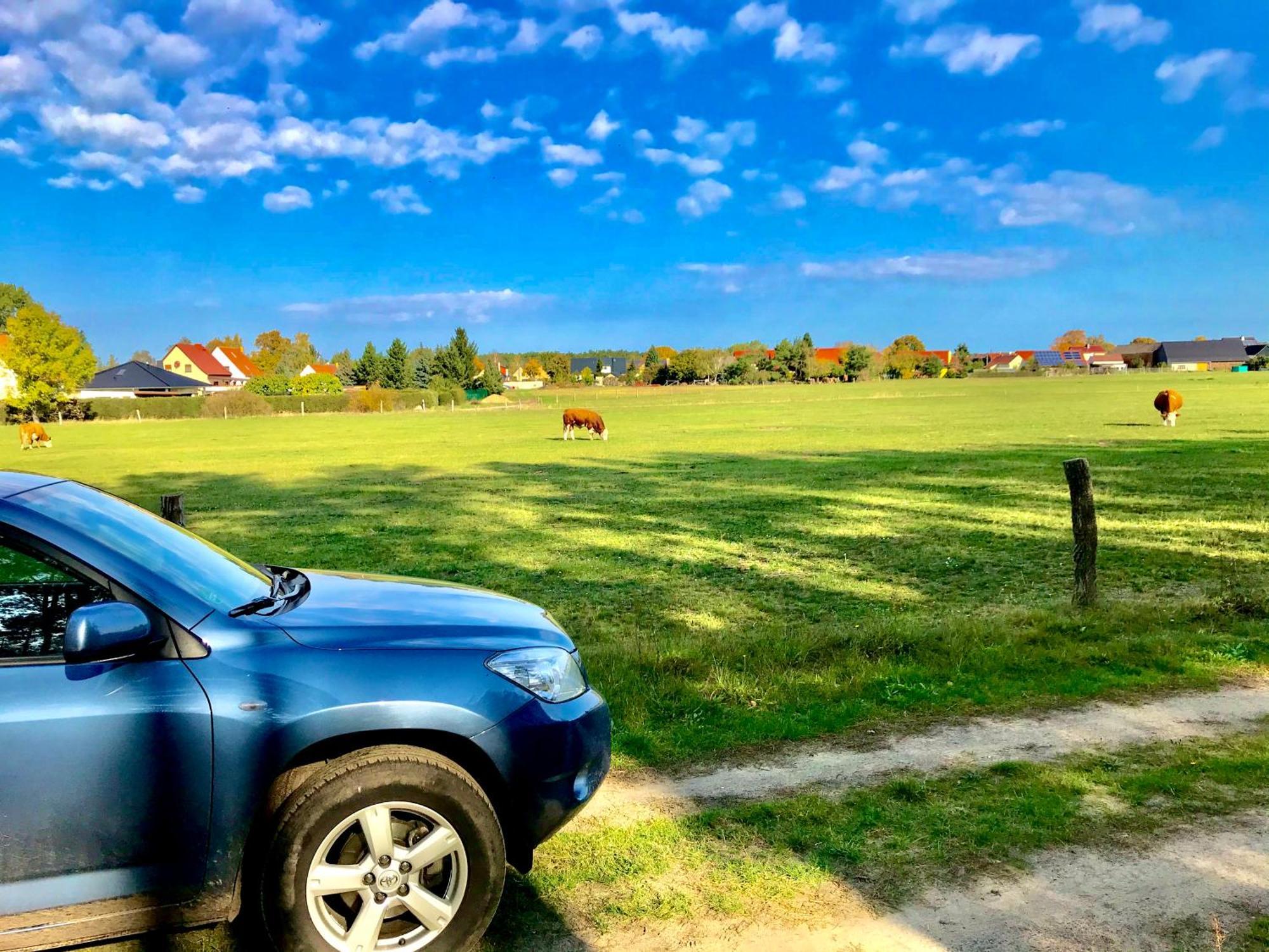 Top-Moderne Ferienwohnung Und Apartments Auf Frueherem Wunderschoenen Bauernhof Im Elbe-Elster-Kreis In Brandenburg Bei Herzberg-Elster, Schoenewalde, Holzdorf Extérieur photo