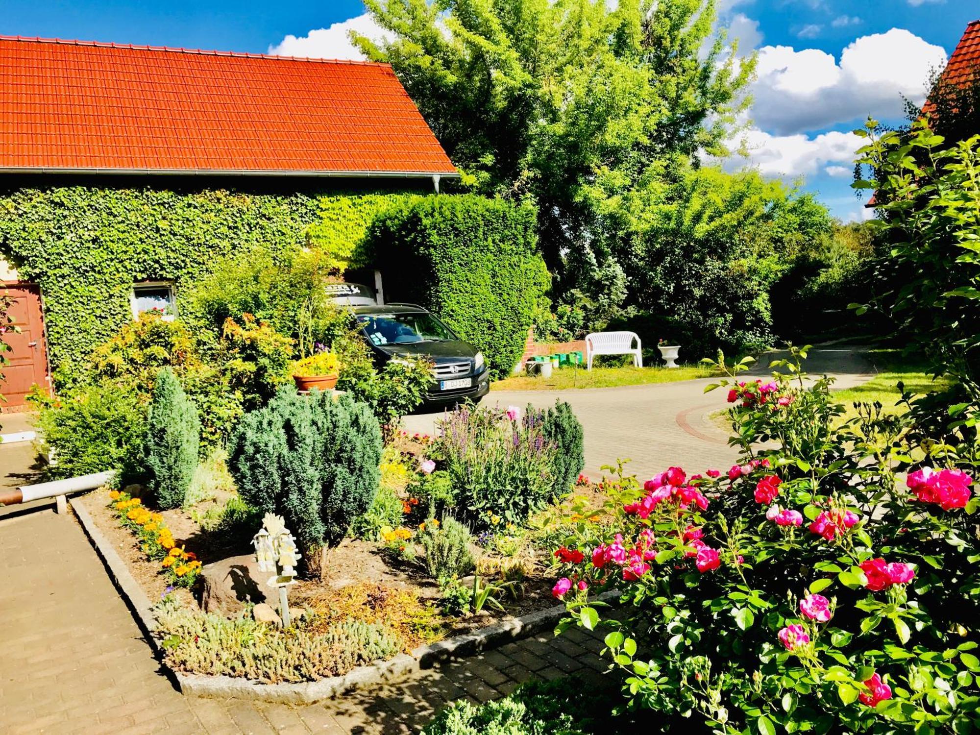 Top-Moderne Ferienwohnung Und Apartments Auf Frueherem Wunderschoenen Bauernhof Im Elbe-Elster-Kreis In Brandenburg Bei Herzberg-Elster, Schoenewalde, Holzdorf Extérieur photo